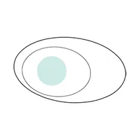 Palmarillo